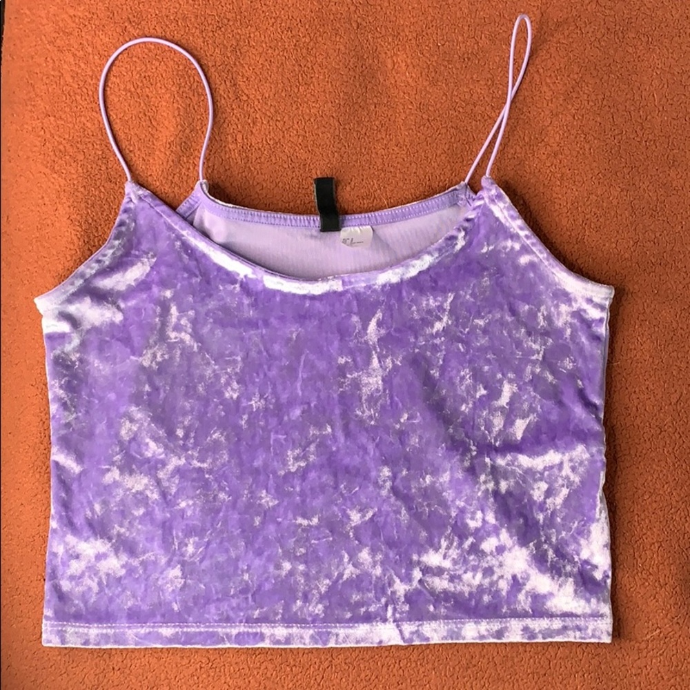 Velvet Crop Top